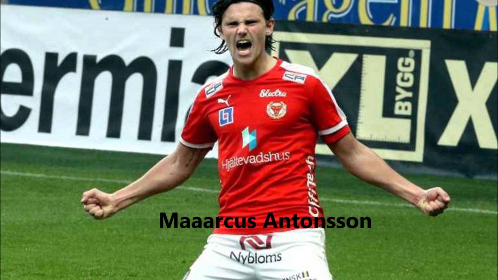 Image result for Antonsson images.jpeg